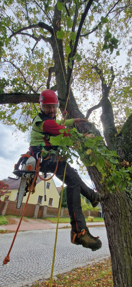 Richard Hervíř - Arborista